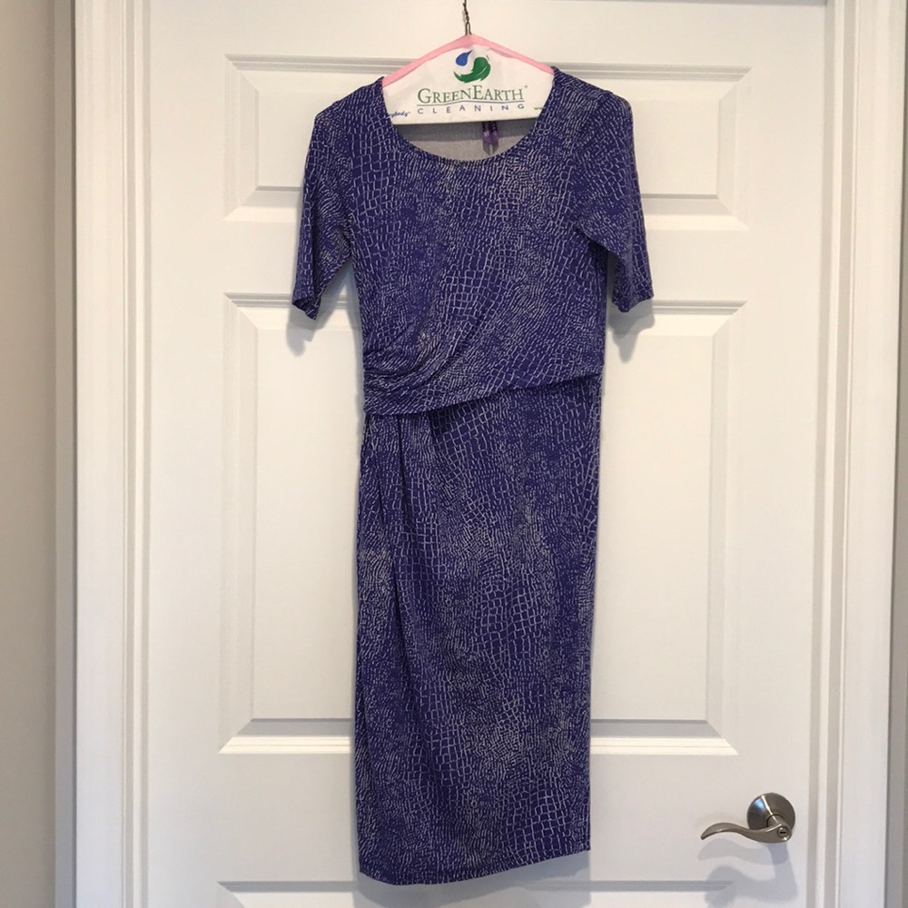 Seraphine Maternity/Nursing Dress